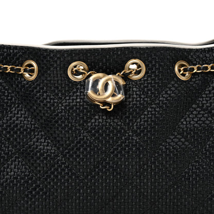 Braided Raffia Calfskin Quilted Mini Chanel 25 Handbag Black White