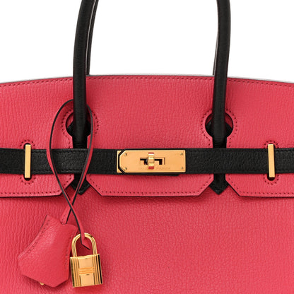 Chevre Mysore Horseshoe Birkin 30 Bougainvillea Black
