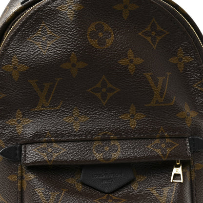 Monogram Palm Springs Backpack Mini